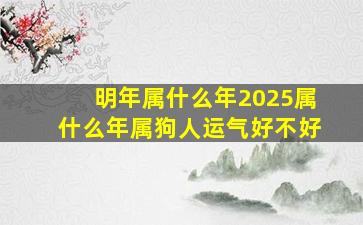 明年属什么年2025属什么年属狗人运气好不好