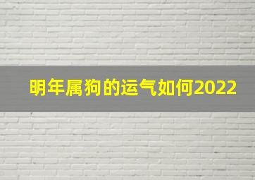 明年属狗的运气如何2022