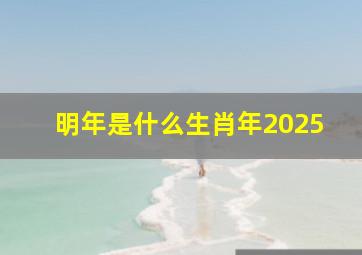 明年是什么生肖年2025