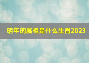 明年的属相是什么生肖2023