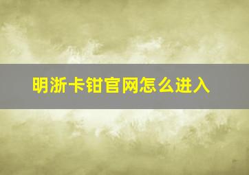 明浙卡钳官网怎么进入