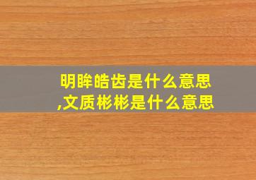 明眸皓齿是什么意思,文质彬彬是什么意思