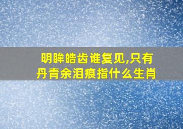 明眸皓齿谁复见,只有丹青余泪痕指什么生肖