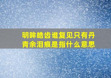 明眸皓齿谁复见只有丹青余泪痕是指什么意思