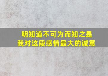 明知道不可为而知之是我对这段感情最大的诚意