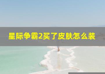 星际争霸2买了皮肤怎么装