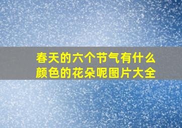 春天的六个节气有什么颜色的花朵呢图片大全