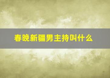 春晚新疆男主持叫什么