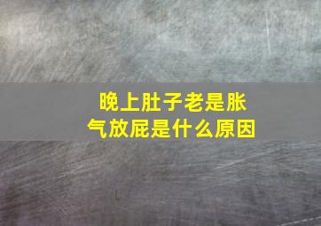 晚上肚子老是胀气放屁是什么原因