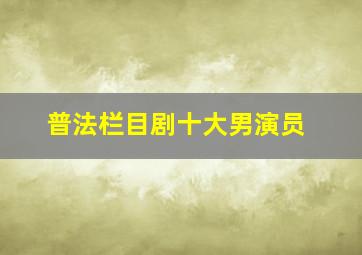 普法栏目剧十大男演员