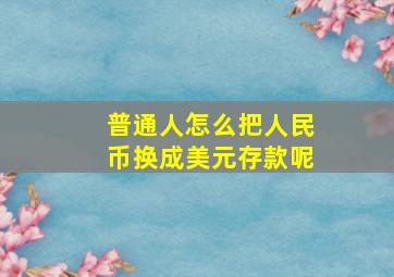 普通人怎么把人民币换成美元存款呢