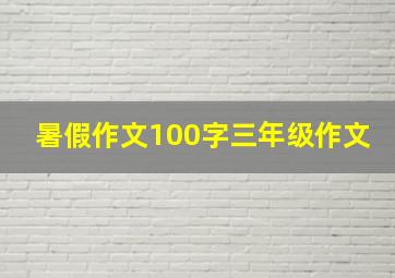 暑假作文100字三年级作文