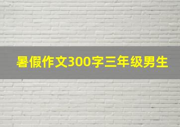 暑假作文300字三年级男生