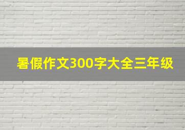 暑假作文300字大全三年级