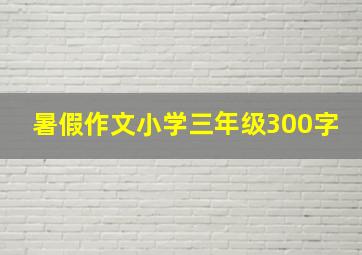 暑假作文小学三年级300字