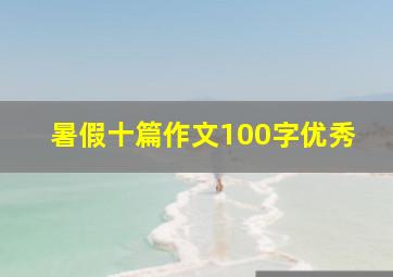 暑假十篇作文100字优秀