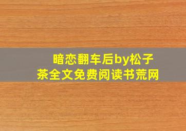 暗恋翻车后by松子茶全文免费阅读书荒网