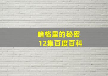 暗格里的秘密12集百度百科