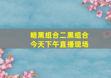 暗黑组合二黑组合今天下午直播现场