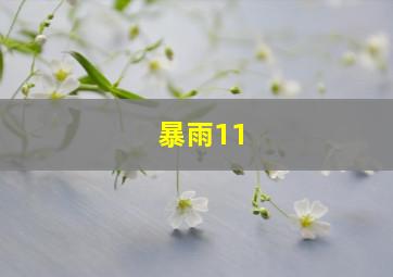 暴雨11