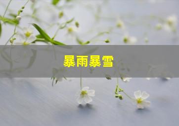 暴雨暴雪