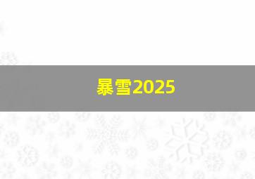 暴雪2025