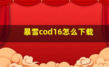 暴雪cod16怎么下载