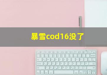 暴雪cod16没了