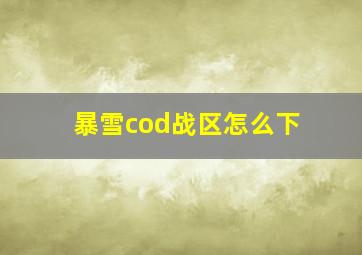 暴雪cod战区怎么下