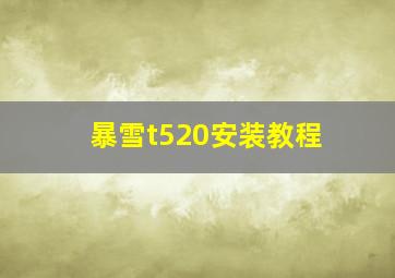 暴雪t520安装教程