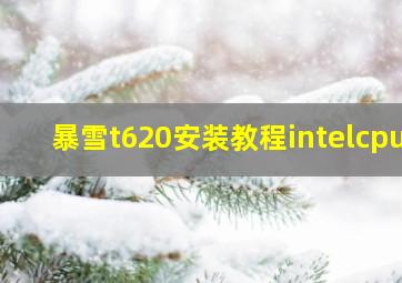 暴雪t620安装教程intelcpu