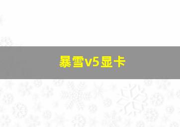 暴雪v5显卡