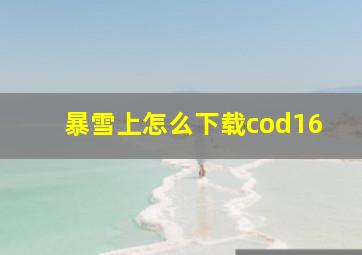 暴雪上怎么下载cod16