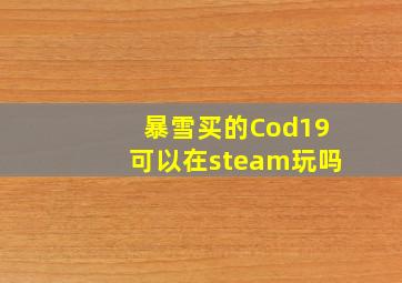 暴雪买的Cod19可以在steam玩吗