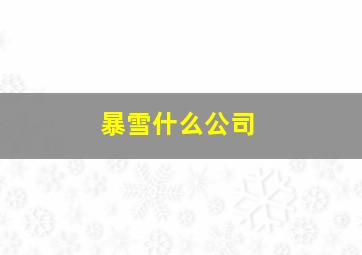 暴雪什么公司