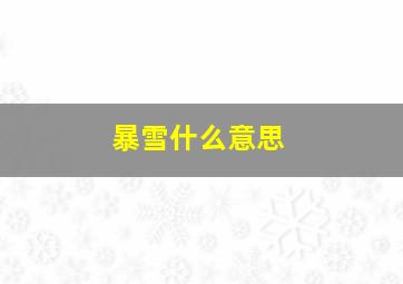 暴雪什么意思