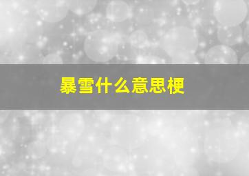 暴雪什么意思梗