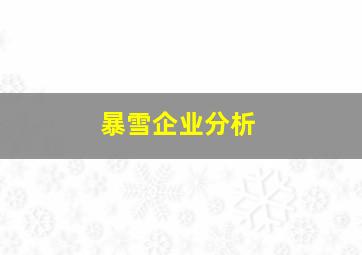 暴雪企业分析