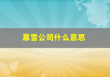 暴雪公司什么意思