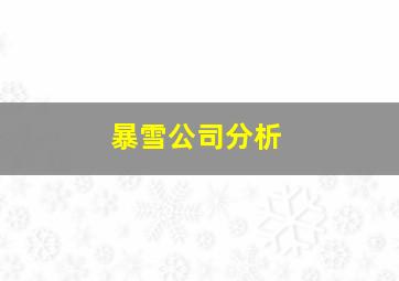 暴雪公司分析