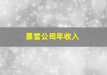 暴雪公司年收入