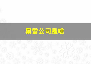 暴雪公司是啥