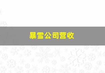 暴雪公司营收