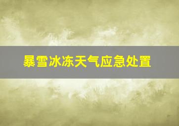 暴雪冰冻天气应急处置