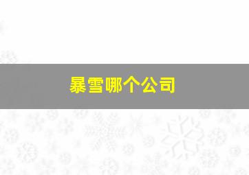 暴雪哪个公司