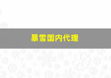 暴雪国内代理