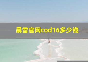 暴雪官网cod16多少钱