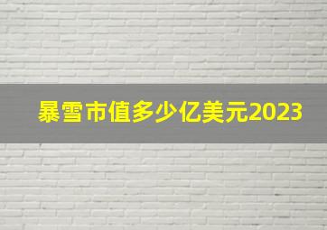 暴雪市值多少亿美元2023