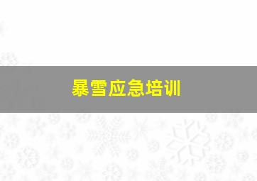 暴雪应急培训