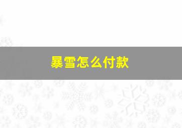 暴雪怎么付款